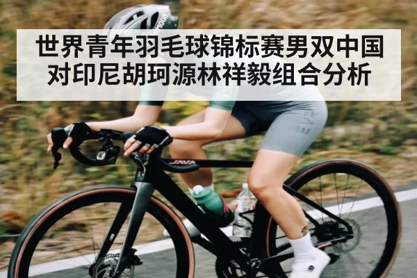 世界青年羽毛球锦标赛男双中国对印尼胡珂源林祥毅组合分析